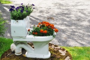 Toilet with flowers Linda Vernon Humor